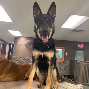 Meet your Posher, Tracy